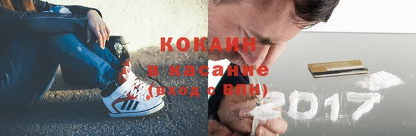 ECSTASY Богданович