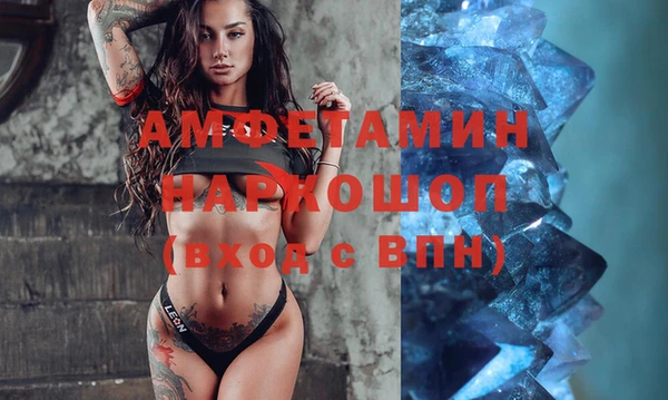ECSTASY Богданович