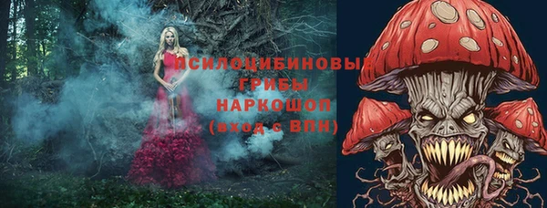ECSTASY Богданович