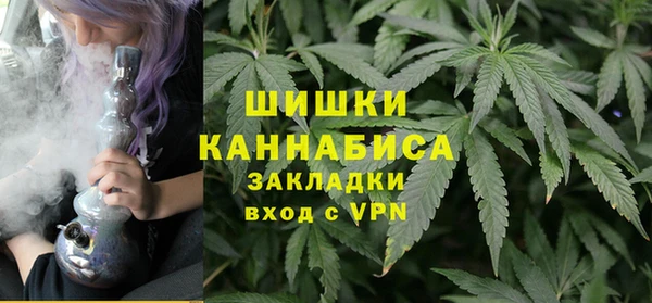 прущие грибы Корсаков
