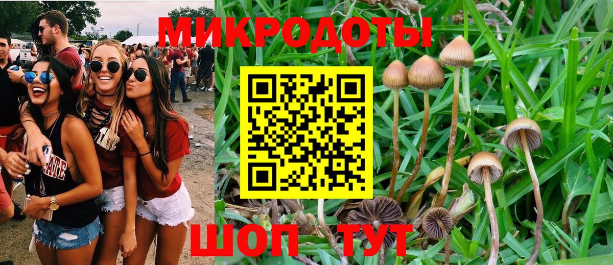 ГЕРОИН  Вход с VPN  Меф МЯУ МЯУ кристаллы  Канабис  Славгород  Кокаин 