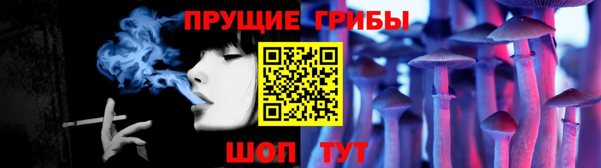 Славгород  Псилоцибиновые грибы MAGIC MUSHROOMS  Вход с VPN  где купить   Псилоцибиновые грибы прущие грибы 